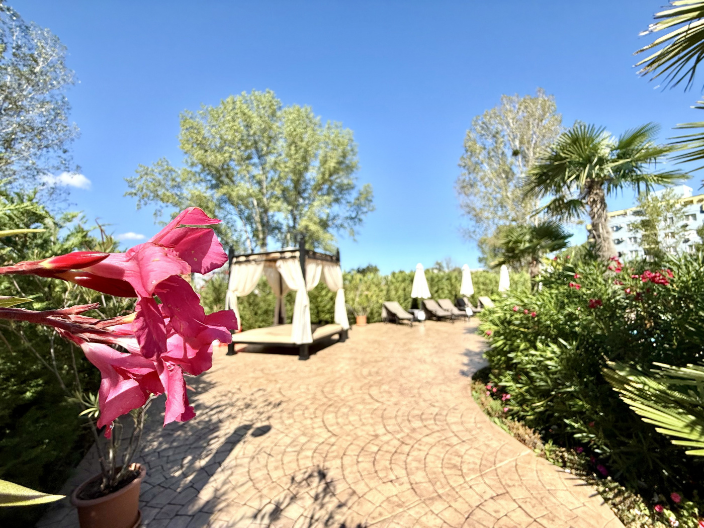 Aphrodite Green Апарт-отель